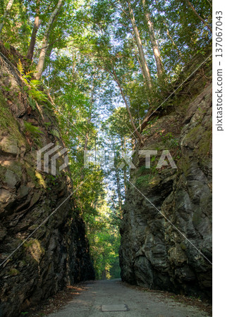 Mie Prefecture, Matsusaka City, Chinpu Pass, Mezurashi Pass, Image of a path passing through a sheer cliff Mie Prefecture, Matsusaka City, Chinpu Pass, Mezurashi Pass, Image of a path passing through a sheer cliff 137067043