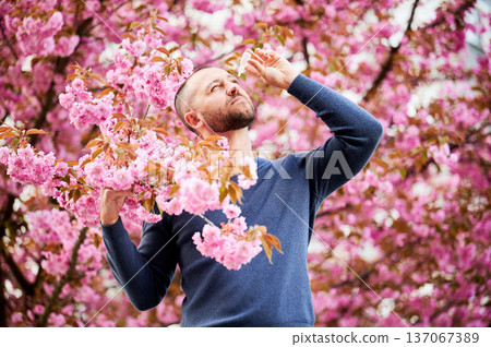 Man allergic using medical eyes drops, suffering from seasonal allergy at spring in blossoming garden. Handsome man treating eyes in front of blooming tree outdoors. Spring allergy concept. Man allergic using medical eyes drops, suffering from seasonal allergy at spring in blossoming garden. Handsome man treating eyes in front of blooming tree outdoors. Spring allergy concept. 137067389