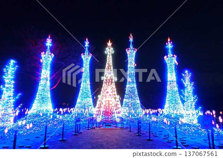 Illumination Sagae City Illumination Sagae City 137067561
