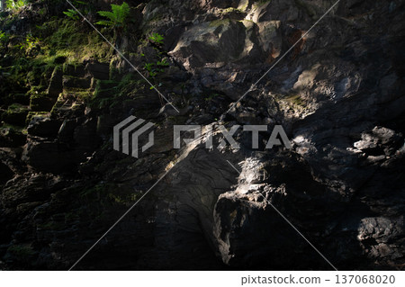 Image of rock face lit by sunlight at Chinpu Pass and Mezurashi Pass in Matsusaka City, Mie Prefecture Image of rock face lit by sunlight at Chinpu Pass and Mezurashi Pass in Matsusaka City, Mie Prefecture 137068020