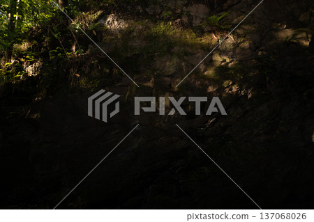 Image of rock face lit by sunlight at Chinpu Pass and Mezurashi Pass in Matsusaka City, Mie Prefecture Image of rock face lit by sunlight at Chinpu Pass and Mezurashi Pass in Matsusaka City, Mie Prefecture 137068026