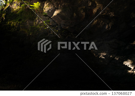 Image of rock face lit by sunlight at Chinpu Pass and Mezurashi Pass in Matsusaka City, Mie Prefecture Image of rock face lit by sunlight at Chinpu Pass and Mezurashi Pass in Matsusaka City, Mie Prefecture 137068027