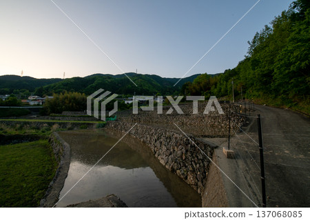 三重縣松阪福野町的丹丹稻田傍晚景色 三重縣松阪福野町的丹丹稻田傍晚景色 137068085