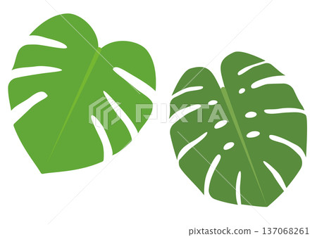 Green monstera leaf icon set 137068261
