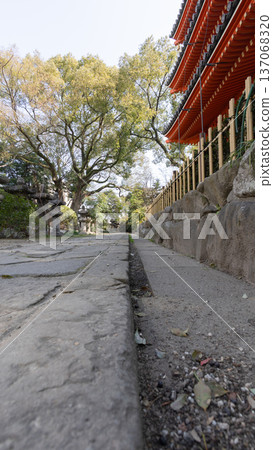 通往神社的路上有石階和燈籠,路邊也排列著燈籠。 通往神社的路上有石階和燈籠,路邊也排列著燈籠。 137068320