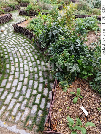 Flowerbed path way in the garden. Grow a greens root crop 137068325