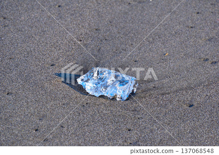Otsu Coast Jewelry Ice 137068548