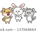 A fighting dog, cat and rabbit trio 137068664