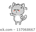 Angry cat 137068667