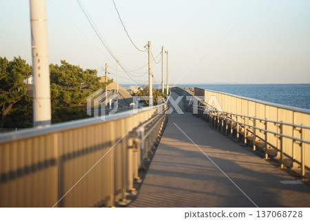 日落時分，一條通往大海的步道。 137068728