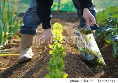 與土壤和植物接觸的生命圖景 與土壤和植物接觸的生命圖景 137068743