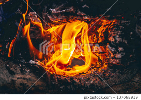 Burning wood fire close-up with glowing flames and charcoal embers Burning wood fire close-up with glowing flames and charcoal embers 137068919
