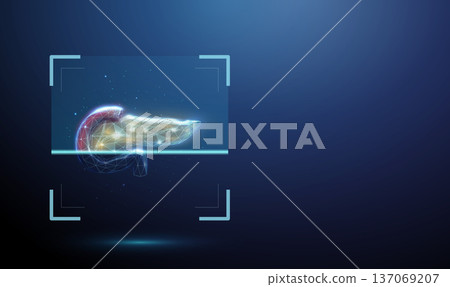 3d human pancreas inside digital scanning frame. Pancreatic examination, organ function analysis, endocrine and digestive system diagnostics, clinical evaluation concept. 137069207
