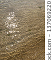 海 137069220