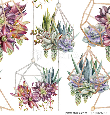Geometric wire planters with mixed succulent plant gardens, hanging terrarium compositions. Isolated illustration hand drawn in watercolor. Seamless pattern for spa brochures, product wrap packaging. 137069285