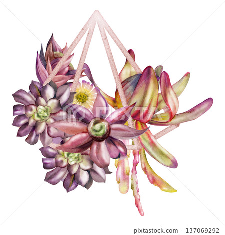 Rosette succulents, hanging cacti shoots in metal wireframe planter, diamond pyramid shape. Isolated illustration hand drawn in watercolor for modern logos, eco branding, spa and wellness identity. 137069292