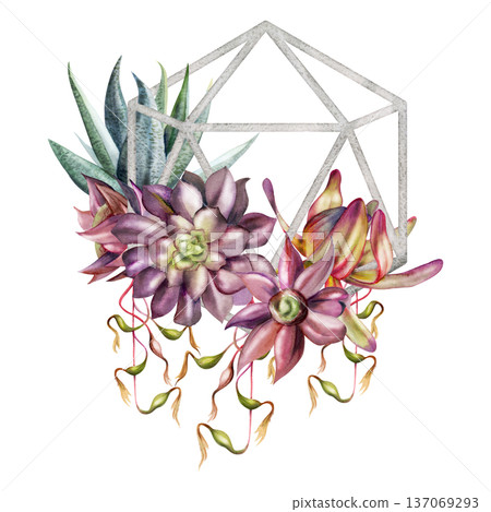 Succulent rosette plants, exotic Billbergia epiphyte vine in polygonal wire frame with layered foliage. Isolated illustration hand drawn in watercolor. Notebooks, contemporary interior decor products. 137069293