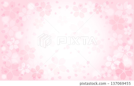 美麗的櫻花背景,花瓣飄落。 美麗的櫻花背景,花瓣飄落。 137069455
