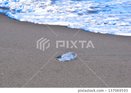 Otsu Coast Jewelry Ice Otsu Coast Jewelry Ice 137069593