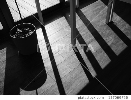 Light and shadows in a room with sunlight streaming in Light and shadows in a room with sunlight streaming in 137069736