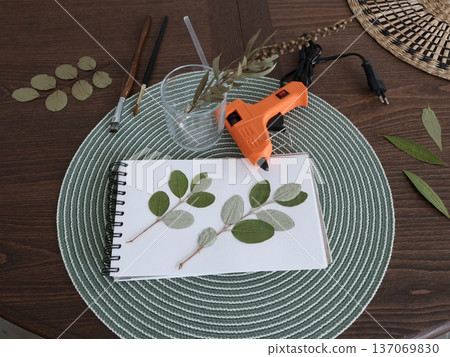 Pressed and dried leaves in album on table and glue gun. Natural materials, handmade. Hobbies and lifestyle. Exotic Mediterranean plants. 137069830