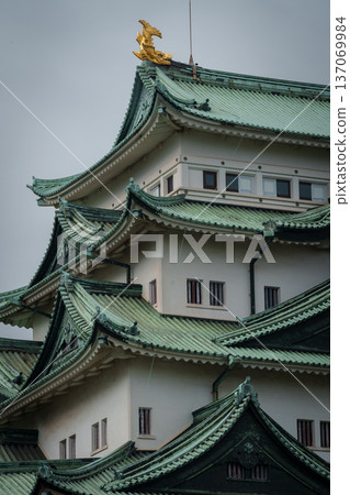 Golden Shachi and Nagoya Castle Tower 137069984