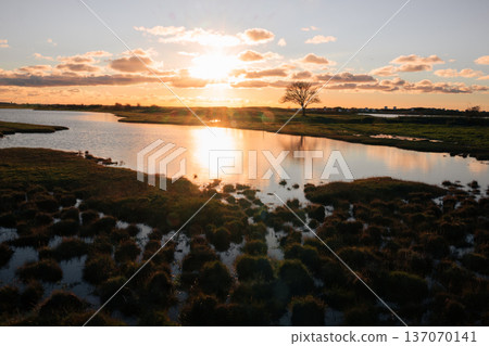 Serene wetland lake at sunset with glowing reflections and lone tree silhouette Serene wetland lake at sunset with glowing reflections and lone tree silhouette 137070141