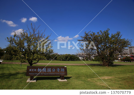Sagami Kokubunji ruins Sagami Kokubunji ruins 137070779