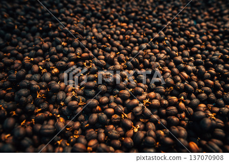 Close up texture of natural process dried coffee cherries. Close up texture of natural process dried coffee cherries. 137070908