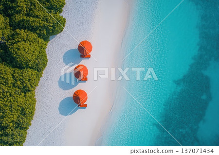 Aerial View of Family Enjoying Tropical Beach with Colorful Umbrellas and Clear Water 137071434