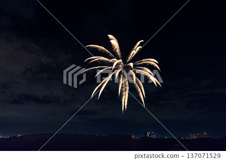 Nagareyama Fireworks Festival, Kanto Nagareyama Fireworks Festival, Kanto 137071529