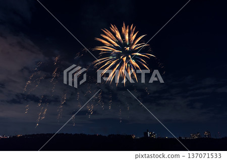 Nagareyama Fireworks Festival, Kanto Nagareyama Fireworks Festival, Kanto 137071533