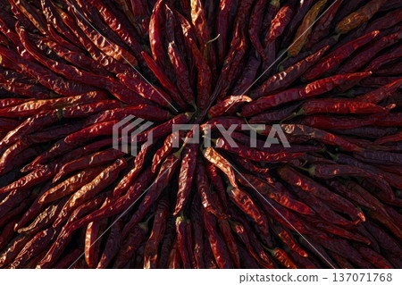 Visually Stimulating Composition of Dried Chili Peppers in Natural Light Visually Stimulating Composition of Dried Chili Peppers in Natural Light 137071768