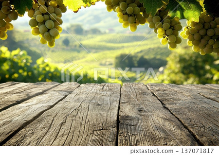 Scenic View from Wooden Deck Bar Overlooking Lush Vineyard Landscape in Golden Light Scenic View from Wooden Deck Bar Overlooking Lush Vineyard Landscape in Golden Light 137071817