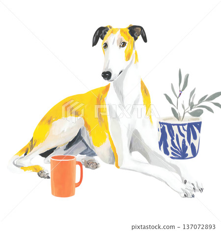 funny dog in blue scarf with scarf 137072893