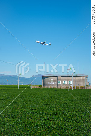 霧島茶園和飛機 137073533