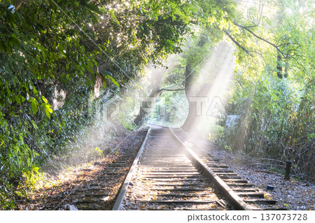 A glittering view of the Kurayoshi Line A glittering view of the Kurayoshi Line 137073728