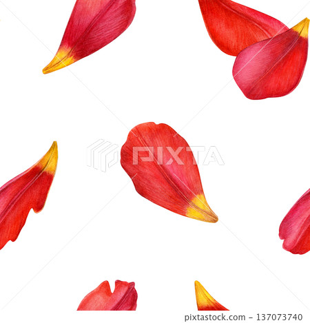 Watercolor seamless pattern of red tulip petals floating on white. Ideal for fabric, wallpaper, wrapping paper, stationery and spring designs 137073740