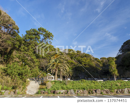 Winter at Kanagawa Prefectural Kannonzaki Park 137074451