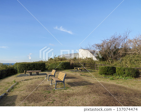 神奈川縣立觀音崎公園的冬季 137074474