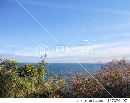 神奈川縣立觀音崎公園的冬季 神奈川縣立觀音崎公園的冬季 137074497
