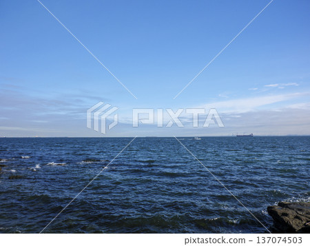 神奈川縣立觀音崎公園的冬季 137074503