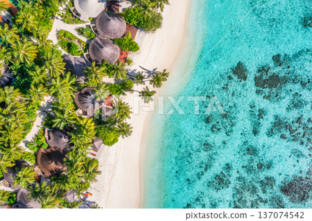 Modern Luxury Resort Aerial View with Tropical Villas and Ocean Lagoon for Bio Architecture Travel Background Modern Luxury Resort Aerial View with Tropical Villas and Ocean Lagoon for Bio Architecture Travel Background 137074542
