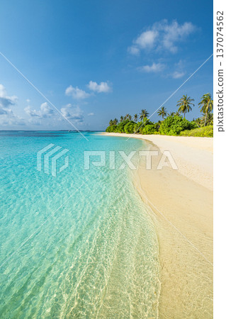 Nostalgic Vintage Tropical Beach with Palm Trees and Soft Film Colors for Aesthetic Summer Travel Mood 137074562