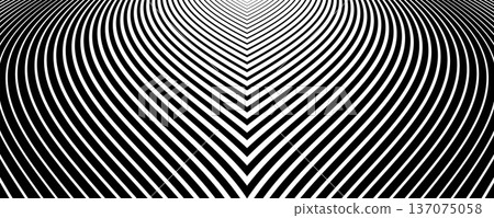 Black and White Lines Pattern. Abstract Textured Background. 137075058