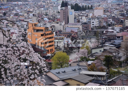 日本岐阜縣高山市：中橋中心區域美麗的街景。櫻花盛開，宮川蜿蜒流淌，新舊房屋交相輝映。此景攝於城山公園。 137075185