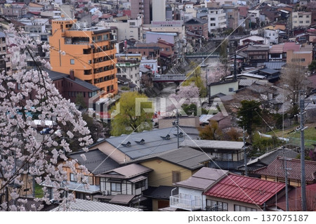 日本岐阜縣高山市：中橋中心區域美麗的街景。櫻花盛開，宮川蜿蜒流淌，新舊房屋交相輝映。此景攝於城山公園。 137075187