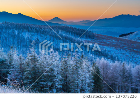 Trees with frost from Kirigamine Venus Line in the dead of winter and Mount Fuji at dawn Trees with frost from Kirigamine Venus Line in the dead of winter and Mount Fuji at dawn 137075226