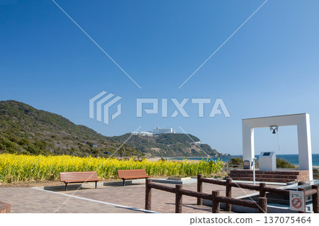 Irago Cape and Koijigahama Beach, where rape blossoms bloom (Atsumi Peninsula, Tahara City, Aichi Prefecture) Irago Cape and Koijigahama Beach, where rape blossoms bloom (Atsumi Peninsula, Tahara City, Aichi Prefecture) 137075464