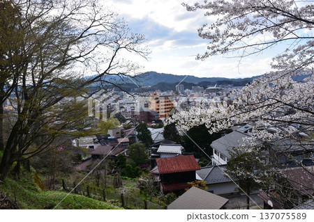 Takayama City, Gifu Prefecture, Japan: Beautiful townscape in the central area of Nakahashi. Cherry blossoms in full bloom, the Miyagawa River, and old and new houses. View from Shiroyama Park. Takayama City, Gifu Prefecture, Japan: Beautiful townscape in the central area of Nakahashi. Cherry blossoms in full bloom, the Miyagawa River, and old and new houses. View from Shiroyama Park. 137075589